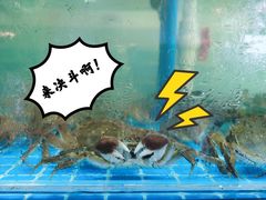 -蓝珊海鲜澳洲和牛自助餐厅