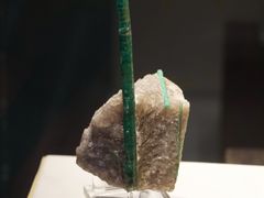 -中华赏石园