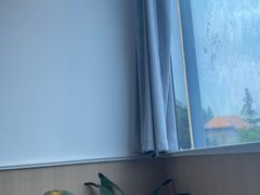 -手佳按摩·足疗·艾灸(博物院中山陵店)