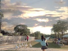 -上海长兴岛郊野公园