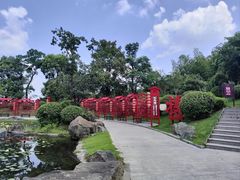 -南京银杏湖乐园
