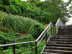 -重庆平顶山公园