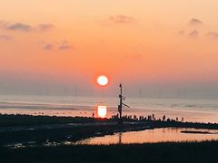 -南汇嘴观海公园