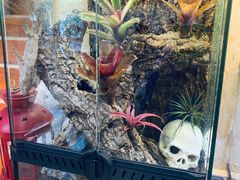 -Rabbit Cafe私房西餐甜点咖啡(栖霞路店)