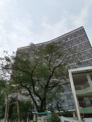 -深圳市妇幼保健院(红荔院区)
