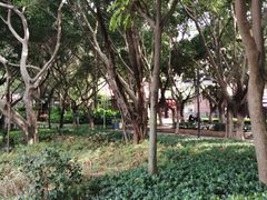 -江头公园