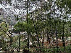 -岳麓山风景名胜区