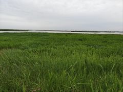 -敕勒川草原文化旅游区