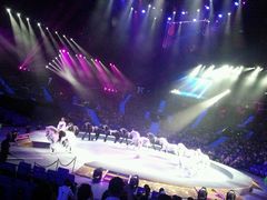 -珠海横琴长隆《卡卡虎奇遇记》