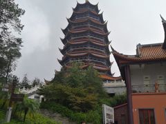 -铁山坪森林公园