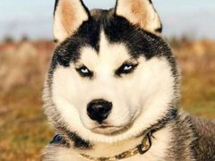 -金逸影城(中关村店)