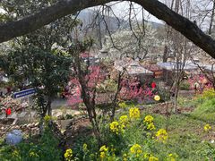 -桃源山庄·水蜜桃采摘·柴火鸡·烧烤团建(龙泉山店)