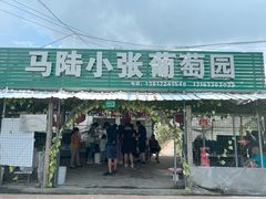 -马陆小张葡萄园农家乐