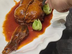 -丁老爷子苏香圆