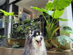 -黑石咖啡(小十字店)