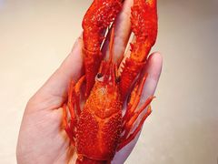 至尊冰镇龙虾-虾弄弄海派小龙虾·牛羊蝎子火锅
