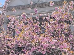 -旅顺博物馆