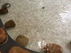 -御池园(顾村公园店)