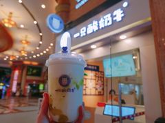 -一只酸奶牛(八一路店)