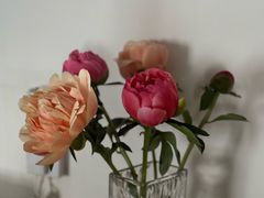-宝鸡东道花鸟鱼虫市场(吉利花园商场店)