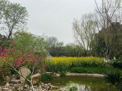 -圩墩遗址公园