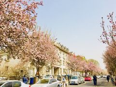 -天津五大道文化旅游区