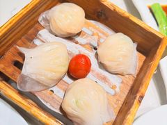 -蘩楼(南京西路中信泰富店)