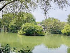 -西溪国家湿地公园