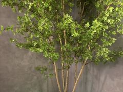 -水墨澜渟足道·SPA·传统(四望亭东关街店)