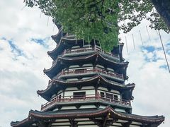 -洋湖国家湿地公园