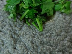 麻豆腐-宝瑞门钉肉饼店