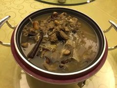 -广西锦华大酒店(南宁朝阳广场地铁站区政府店)