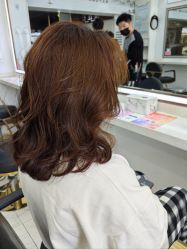 -镁连社·美联社