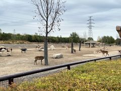 -齐齐哈尔龙沙动植物园