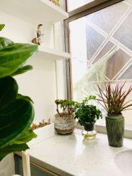 点击看大图 -Moyue HAIR SALON