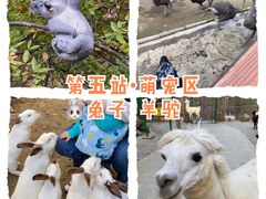 -栾川竹海野生动物园