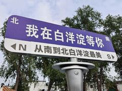 -白洋淀景区