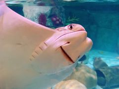 -沈阳海洋探索中心