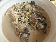 -后湖小院·乡野田园菜