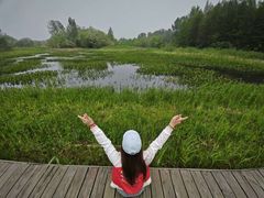 -溱湖国家湿地公园