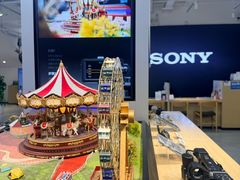 -Sony Store 索尼(上海淮海中路店)