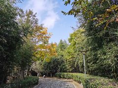 -万佛湖风景区