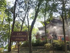 -子昂故里文化旅游区