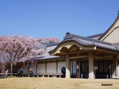 -醍醐寺