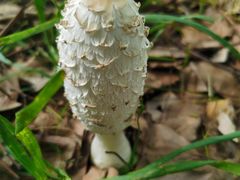 -西湖风景区-江洋畈生态公园