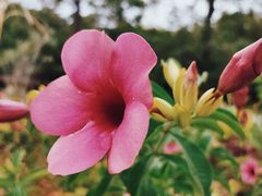 -厦门园林博览苑