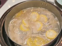 -洪氏嗨捞·猪肚鸡火锅(阳光天地店)