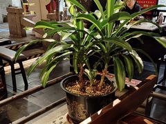 -绿茶餐厅(哈尔滨凯德店)