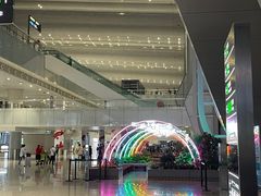 -广州白云国际机场-T2航站楼
