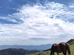 -灵山